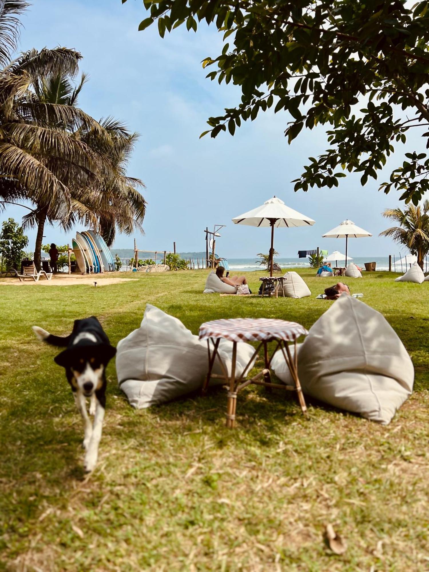 Calma - Surf, Yoga & Coffee On A Private Beach Dikwella Kültér fotó